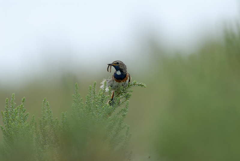060624_Gorge_bleue_21