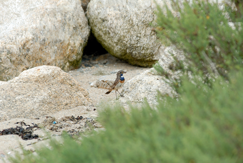 060624_Gorge_bleue_32