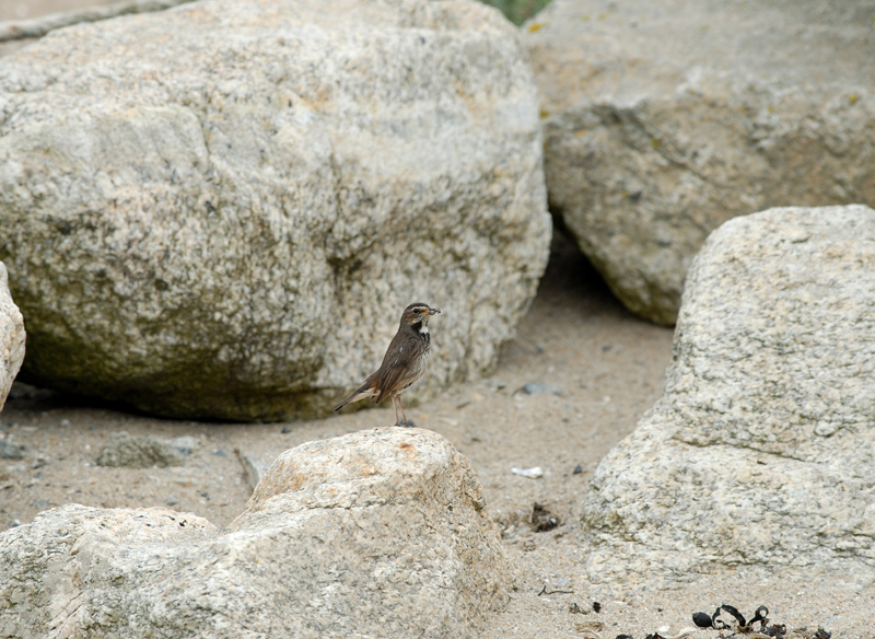 060624_Gorge_bleue_33