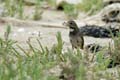 060624_Gorge_Bleue_03