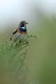 060624_Gorge_bleue_19