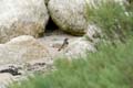 060624_Gorge_bleue_32