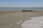 060809_Camargue_03