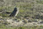 070104_Lisbonne_19