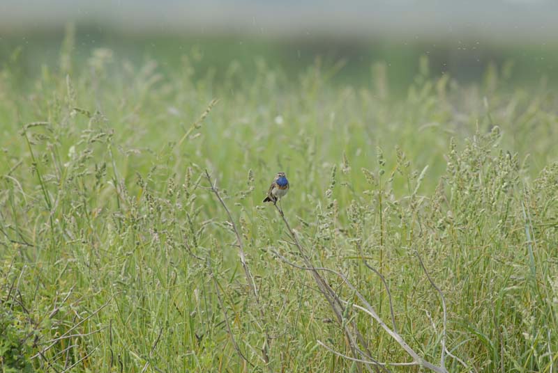 080518_LT_GorgeBleue_191