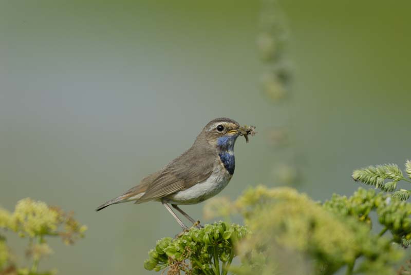 080518_LT_GorgeBleue_259