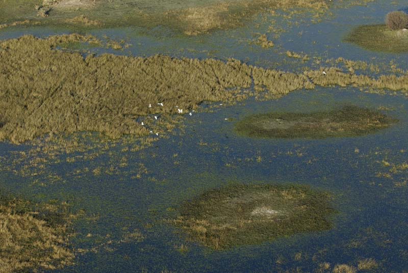 0294_Botswana_Maun_Okavongo