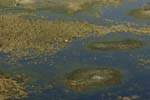 0294_Botswana_Maun_Okavongo
