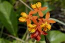 1316_CostaRica_Volcan_Arenal_