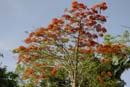 1355_CostaRica_Rincon_de_la_Viejas_