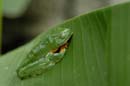 0379_CostaRica_La_Paz_