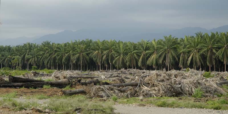 2782_CostaRica_route_vers_Quepos_