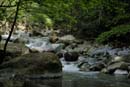 1479_CostaRica_Rincon_de_la_Viejas_