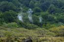 1489_CostaRica_Rincon_de_la_Viejas_