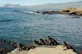 04_1391_GALAPAGOS_SANTIAGO_RABIDA