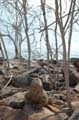 16_3253_GALAPAGOS_SANTA_FE