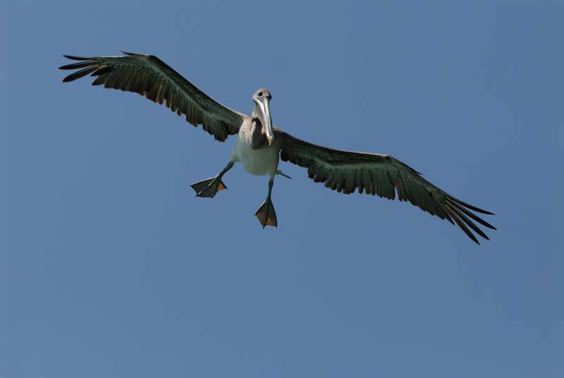 02_3488_GALAPAGOS_SANTA_FE
